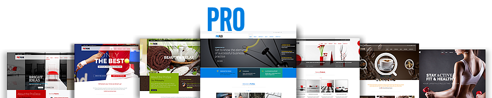 ProFlex MultiPurpose Bootstrap Template